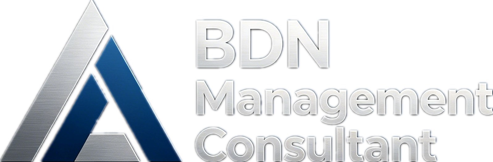 BDN Management Consultant Logo